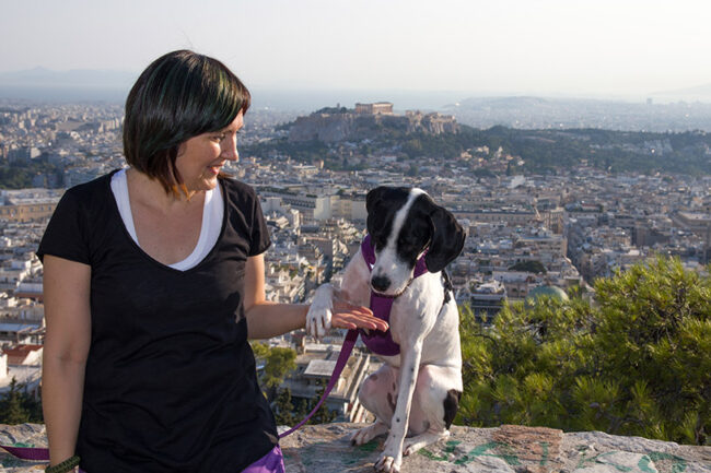Το πιο συχνό λάθος στην σχέση μας με τον σκύλο