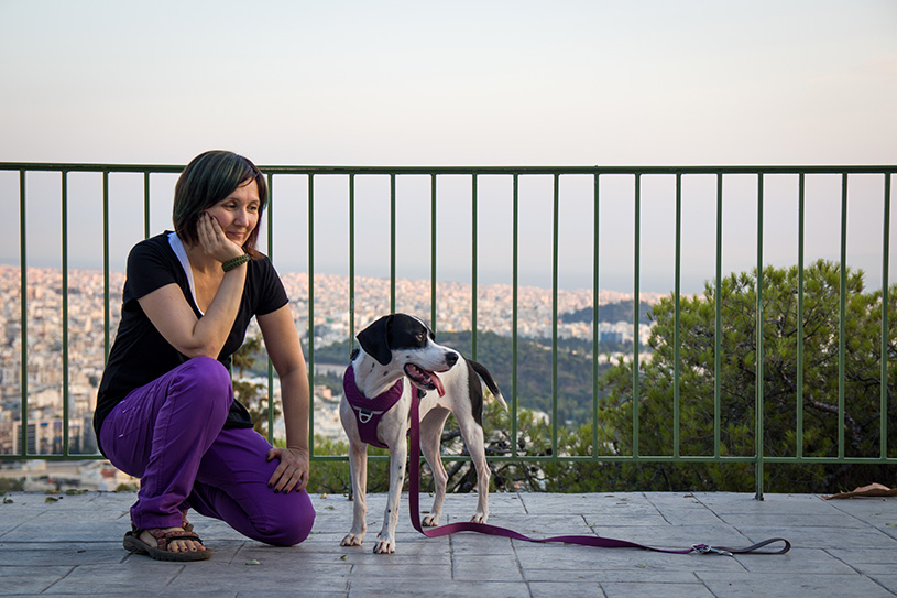 Περιλαίμιο ή Σαμαράκι; Περιλαίμιο ή Σαμαράκι;