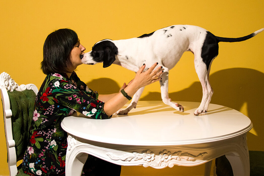 Πώς χαϊδεύουμε έναν σκύλο που δεν γνωρίζουμε;