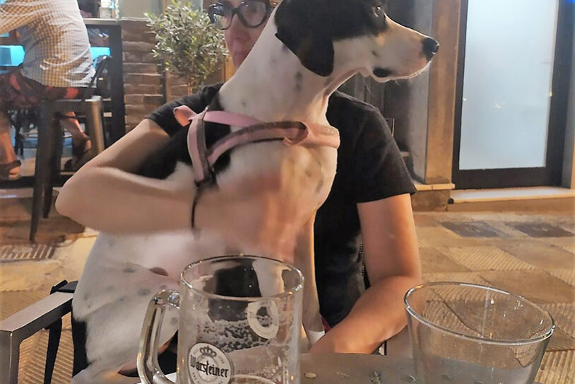 Είναι ακριβή η εκπαίδευση; Πώς να επιλέξω εκπαιδευτή;